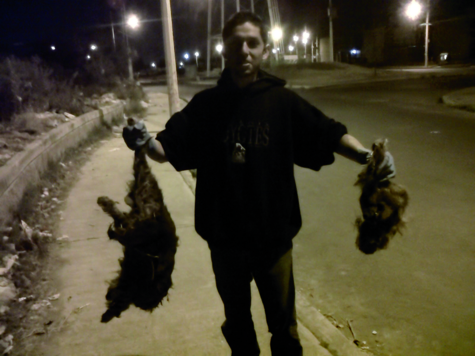 Maltrato Animal. Cibernautas al Rescate 0