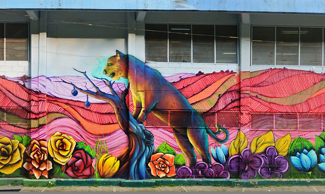 Dan lienzos a artistas urbanos 1
