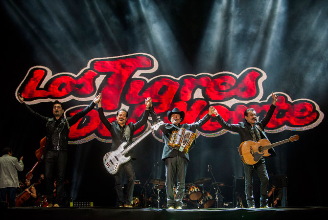 Circo, Maroma y Vive Latino 0