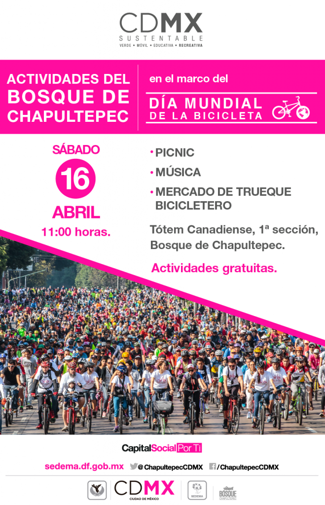 DíaMundialdela Bicicleta 3