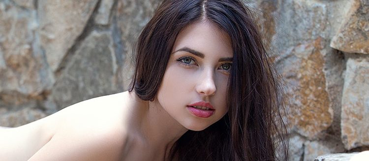 Niemira