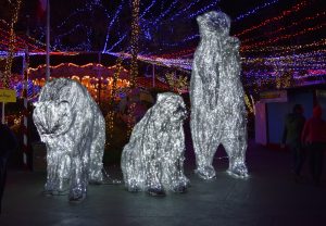 christmas-in-the-park4