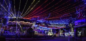 domo-frances-christmas-in-the-park