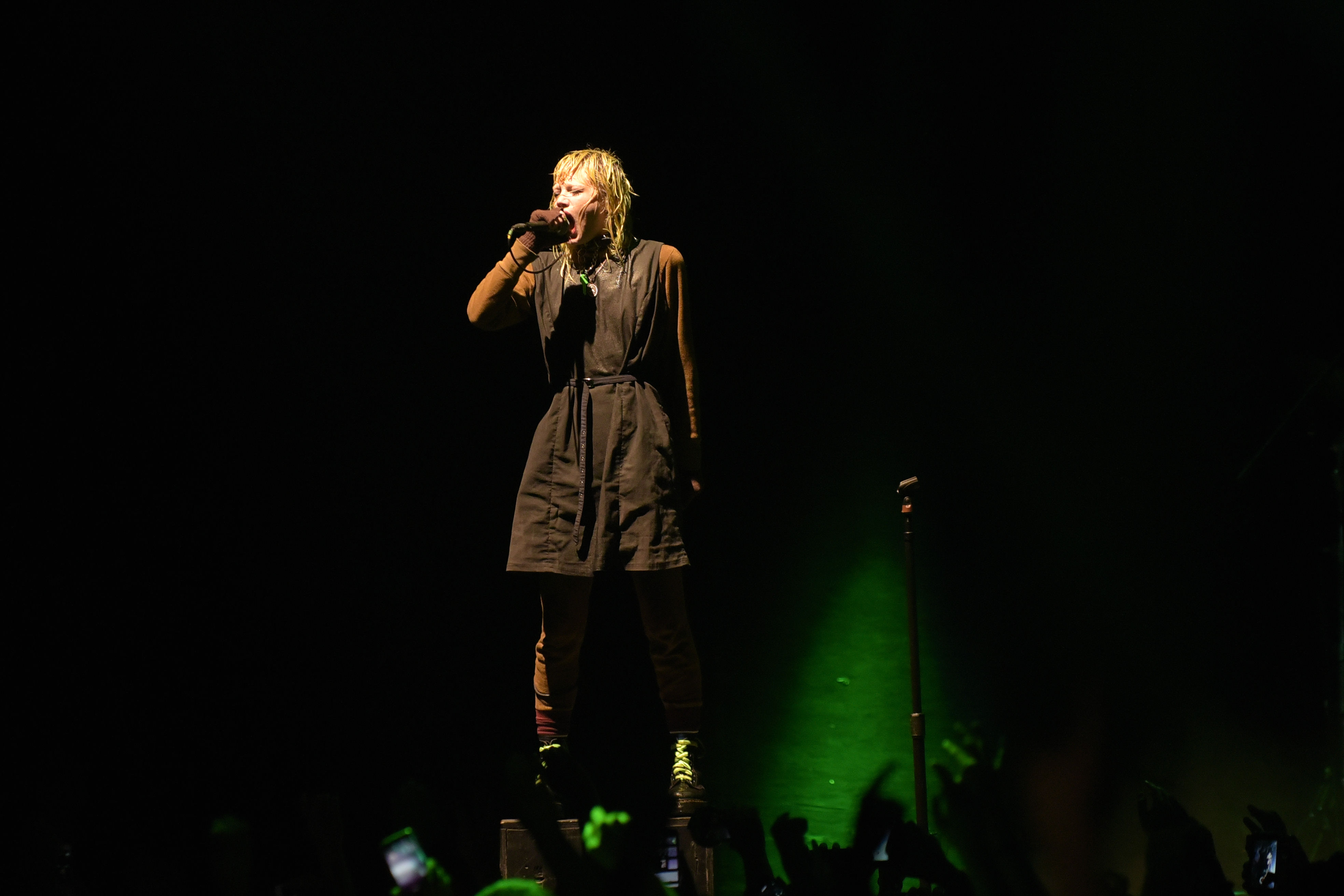 SE SACUDEN A ALICE GLASS CON SALVAJE SHOW EN EL PLAZA 0