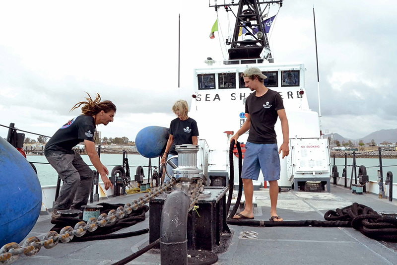 LA ODISEA POR LA VAQUITA MARINA 0