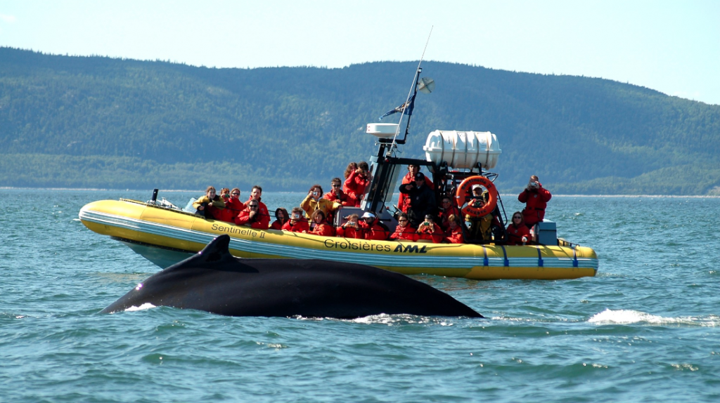 CHARLEVOIX, UN PASO EN LA INMENSIDAD 3