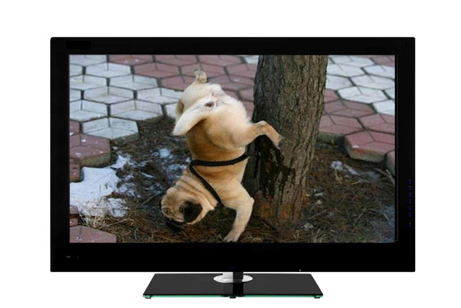 Bloopers de la tv en vivo