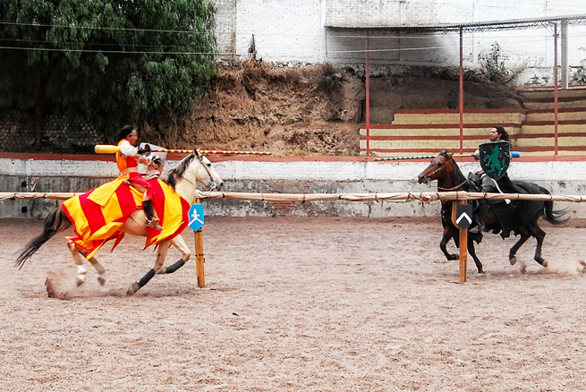 Medieval Knights Show