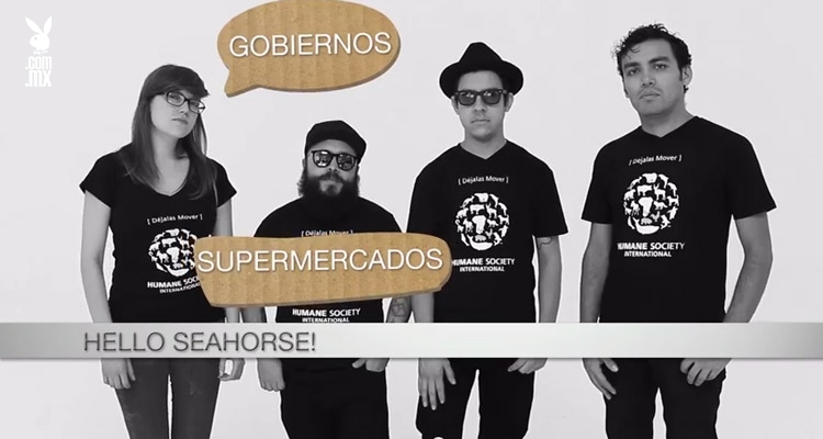 Artistas se unen por una producción animal responsable