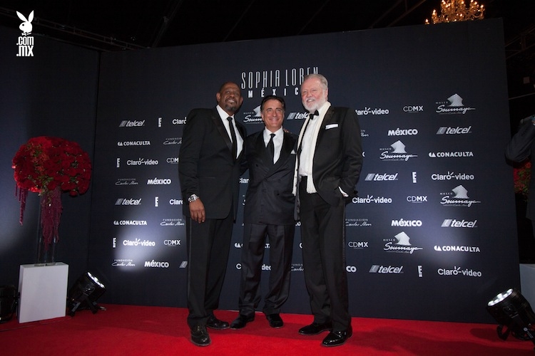 Sophia loren mexico 3