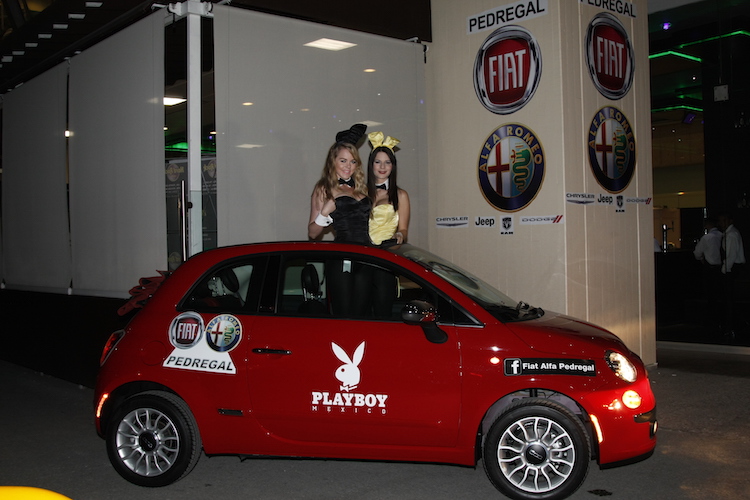 fiesta playboy 12 7