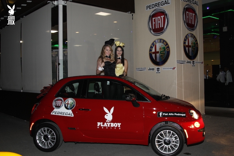fiesta playboy 12 7