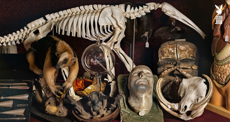 Éste es el mejor y más extraño museo del mundo