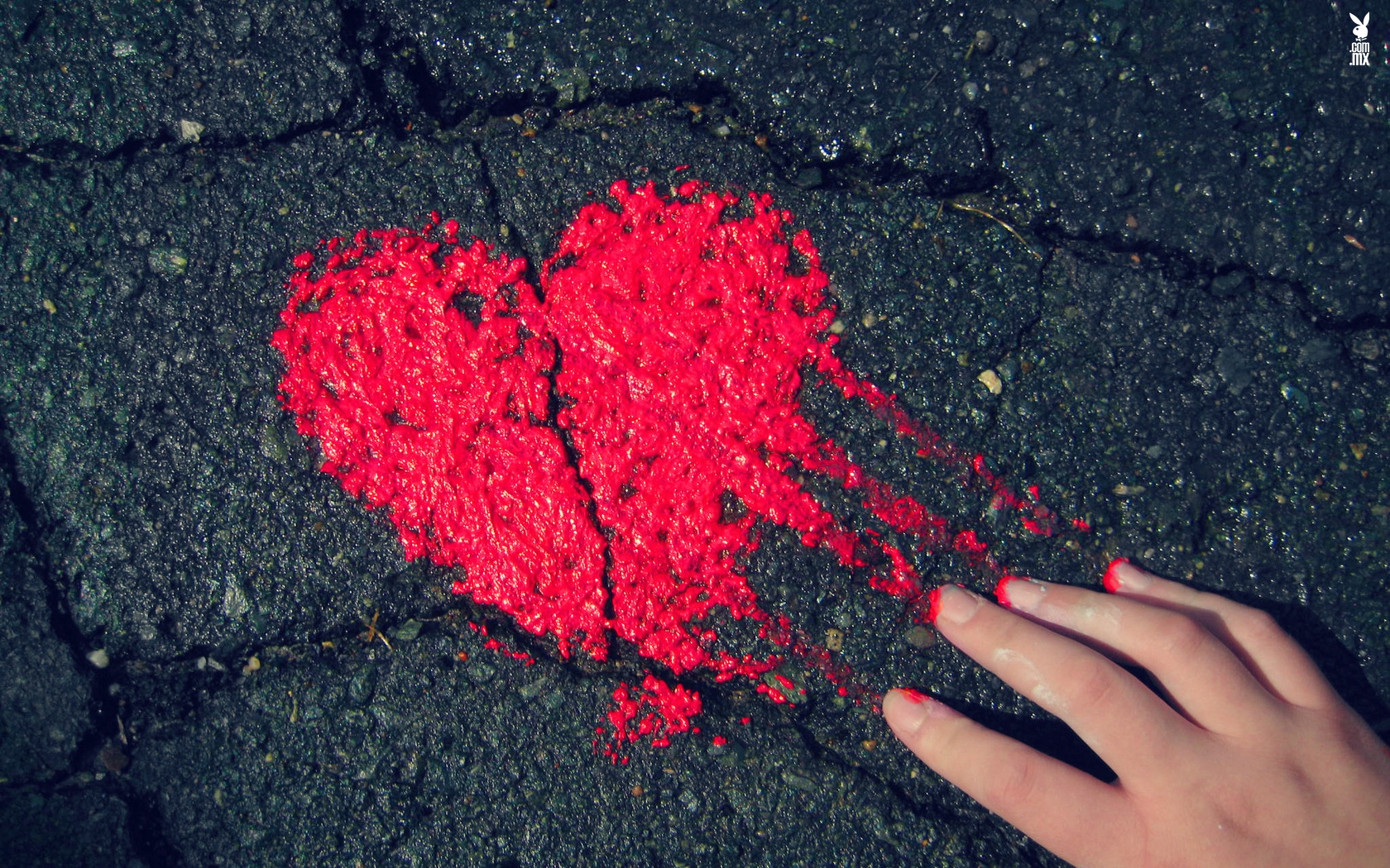 ¿Puedes morir de corazón roto? Descúbrelo