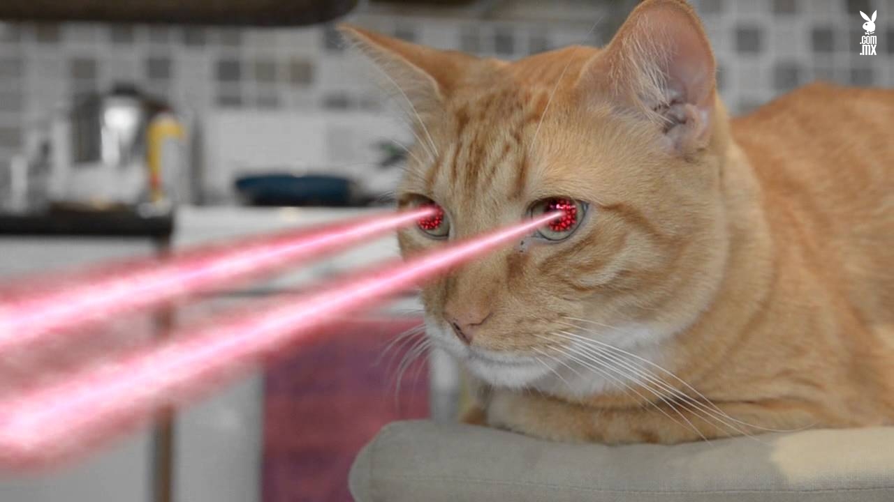 El futuro nos alcanza: conoce los lentes de contacto con zoom integrado