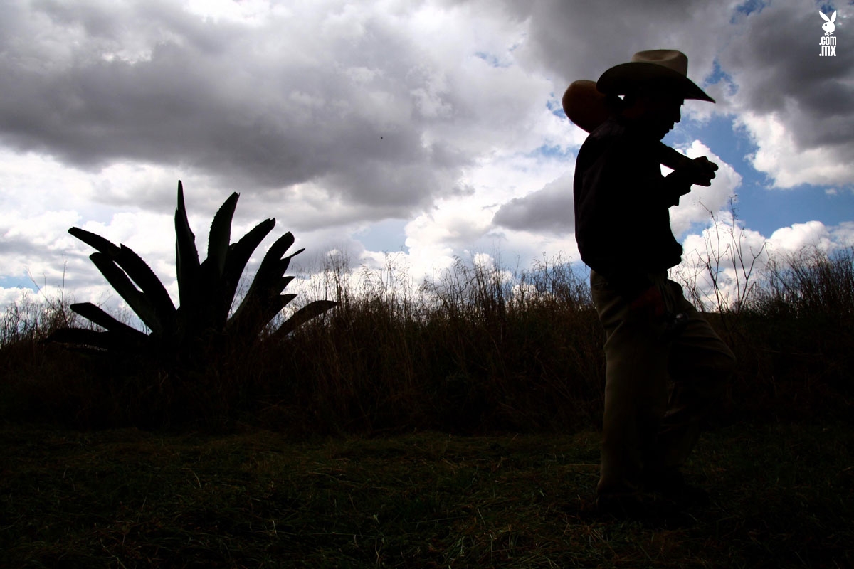 Pulque, bebida de los Dioses