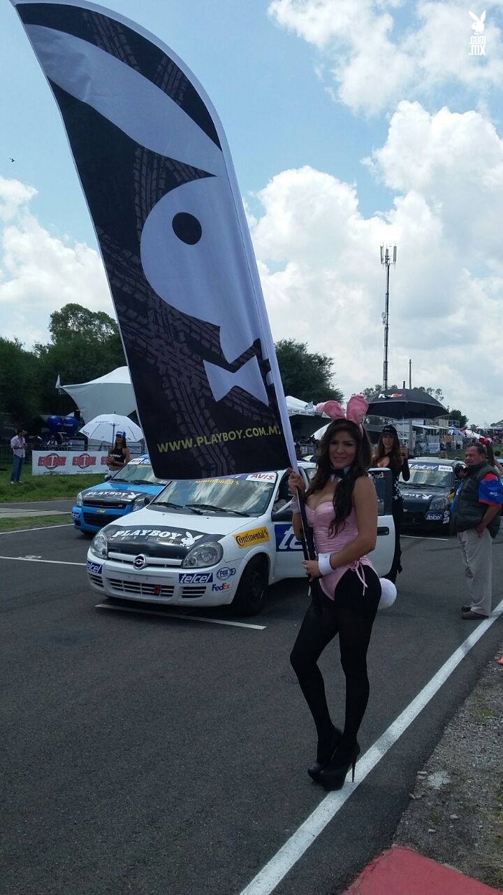 Alistándose para la carrera de Celebridades