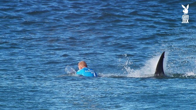 Sobrevive surfista a ataque de tiburón