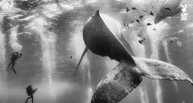 Consigue mexicano primer lugar en concurso National Geographic