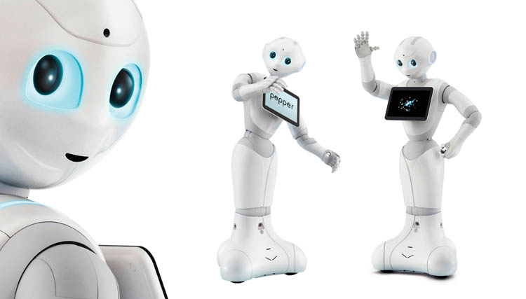 Puedes tener un robot pero ni pienses en tener sexo con él