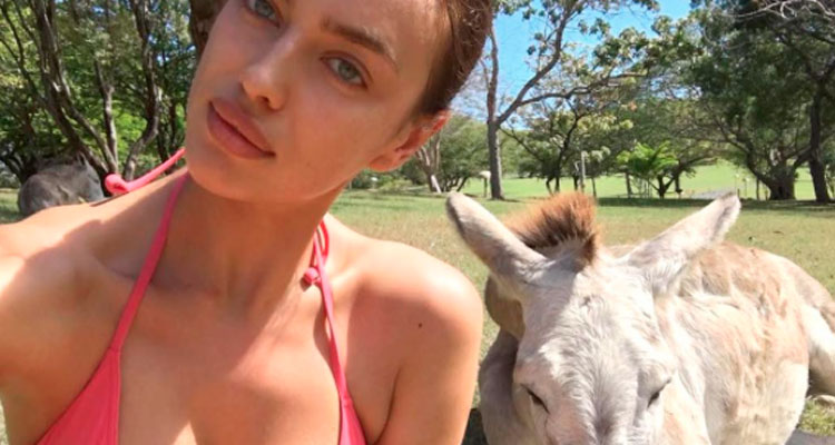 Irina Shayk cautiva en Instagram ¡a lado de un burro!