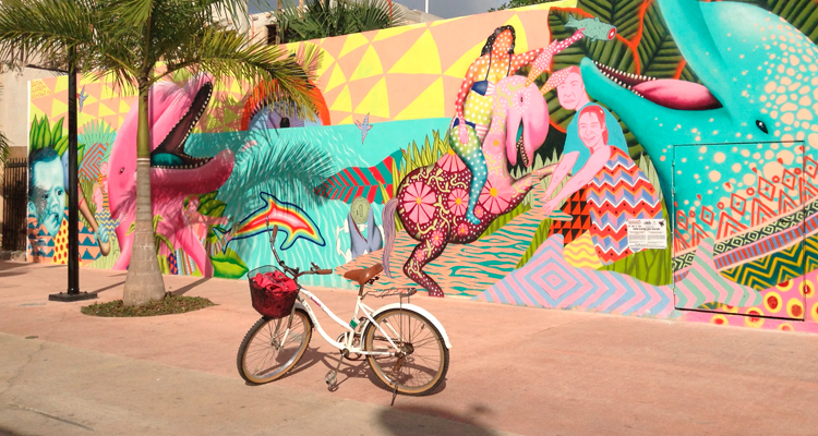 RODADA 2.0: Cozumel en bici, movilidad en la isla…