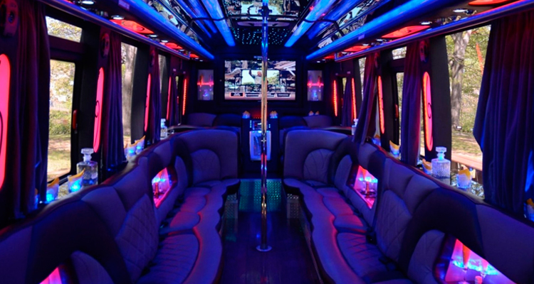 VIVE LA PARTY BUS PLAYBOY