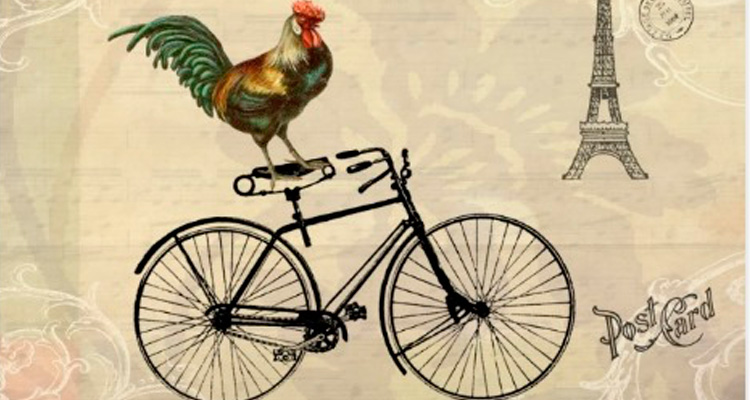 RODADA 2.0: ¡AÑO DEL GALLO EN BICI!