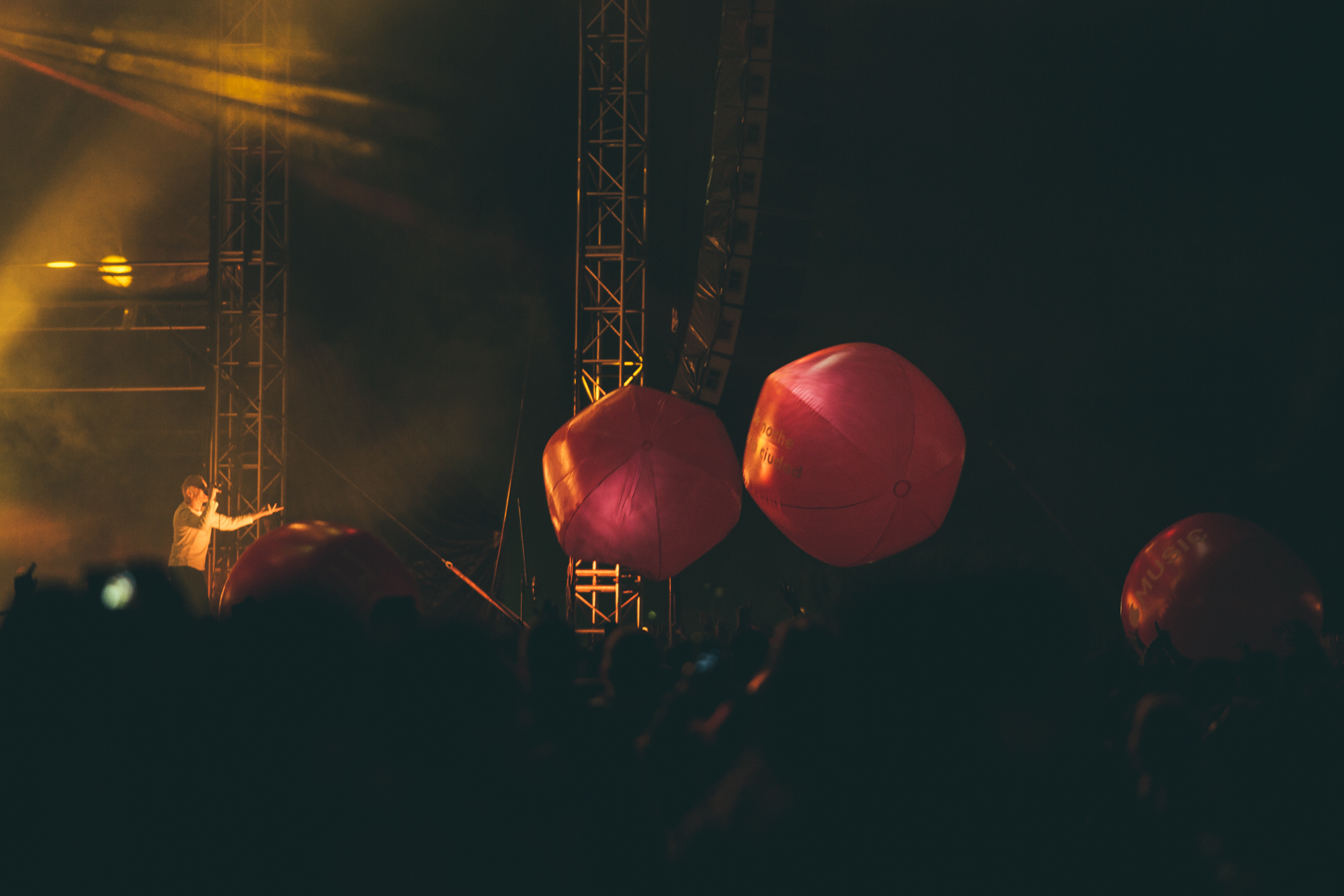 Crowd-Festival Ceremonia-Mexico-Foro Pegaso-04.02.2017-Daniel Pa