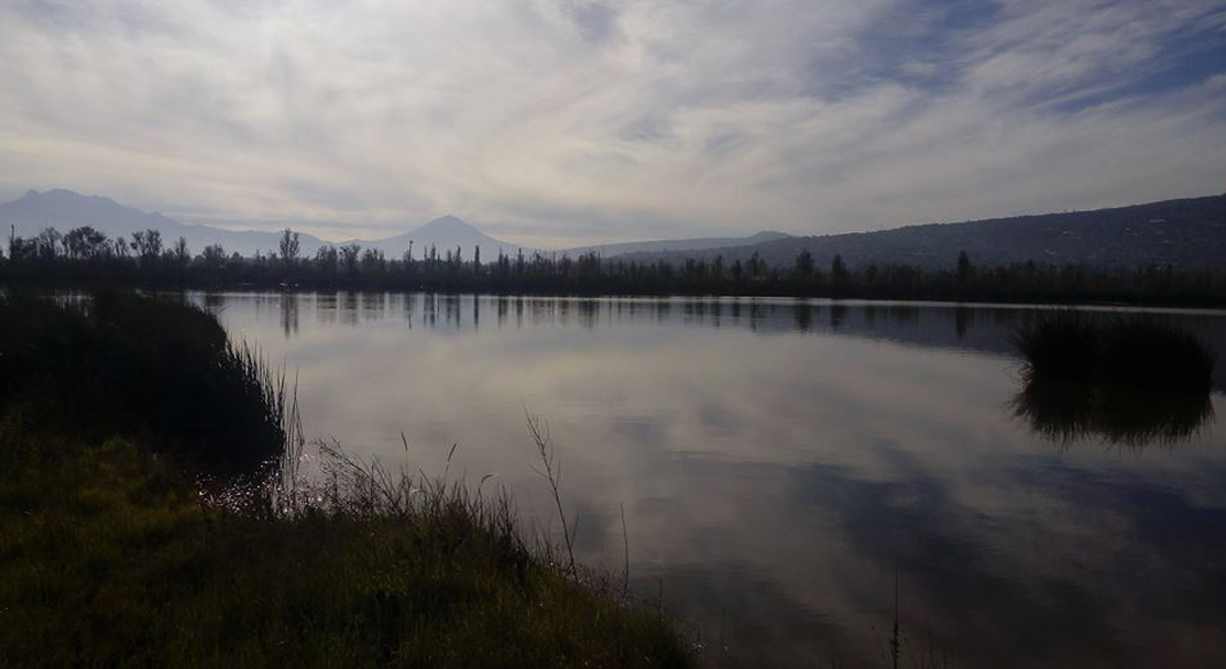 RODADA 2.0: RODADA A LOS HUMEDALES DE XOCHIMILCO