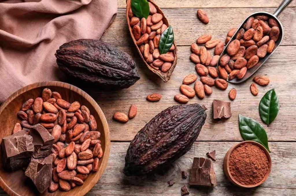 Tabasco: Rutas de la Sierra y Cacao