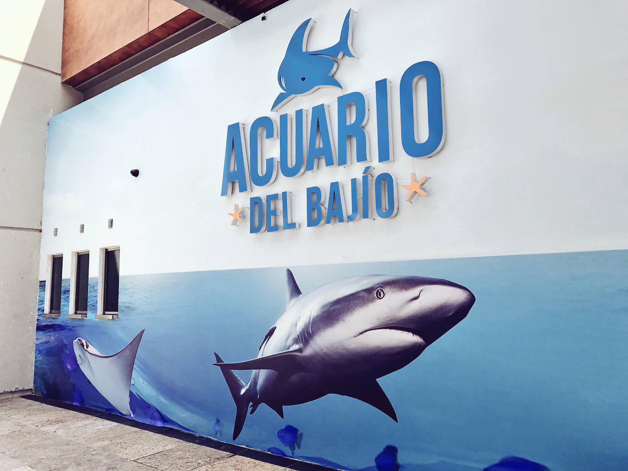 Acuario del Bajío27