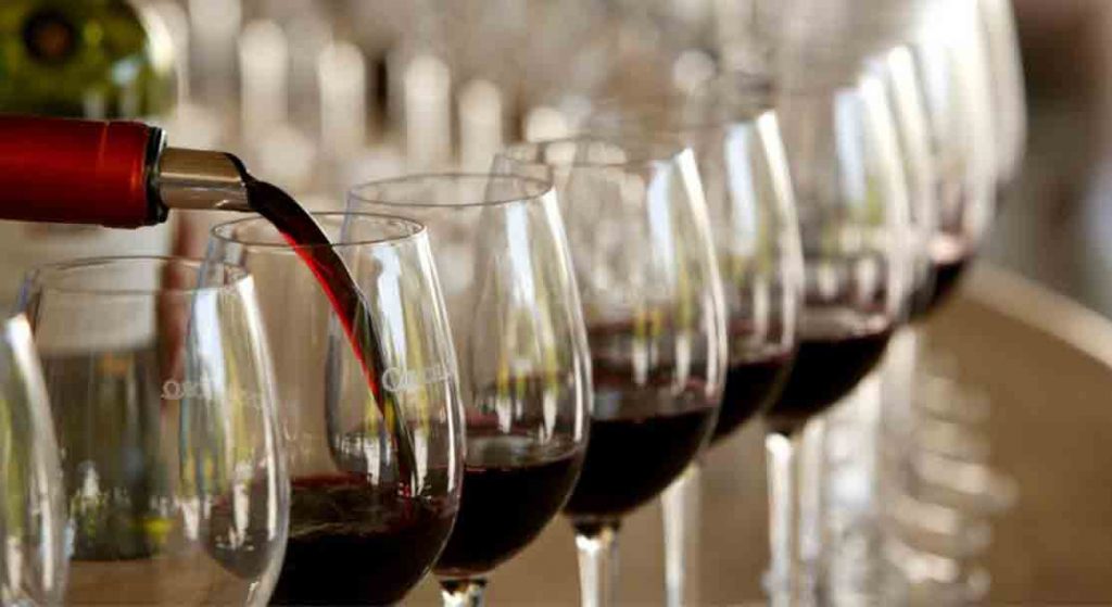 TOMA VINO Y CONSERVA AL BISONTE AMERICANO