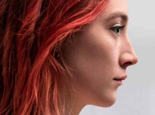 LADY BIRD: ENTRE EL AMOR Y EL ODIO AL CRECER