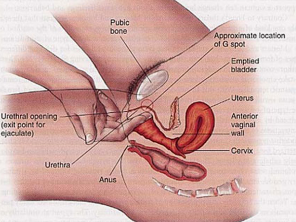 ¡No es lo mismo que squirting! Hazla eyacular por primera vez 1