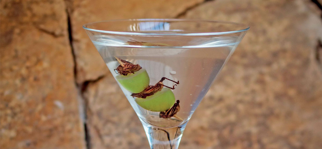 Trago: Agave Martini, una propuesta muy mexicana
