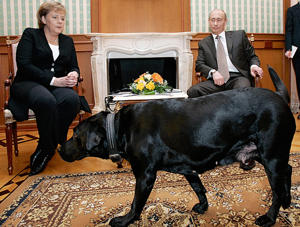 Putin-datos-curiosos-Merkel-perro