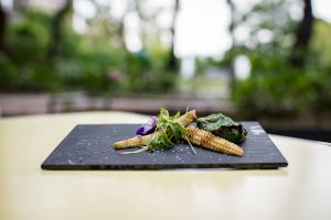 Quesos de Europa: para degustar esta etapa mundialista 3