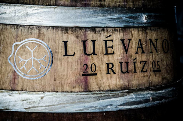 Vendimia-de-la-Vinícola-Luévano-Ruíz-barril