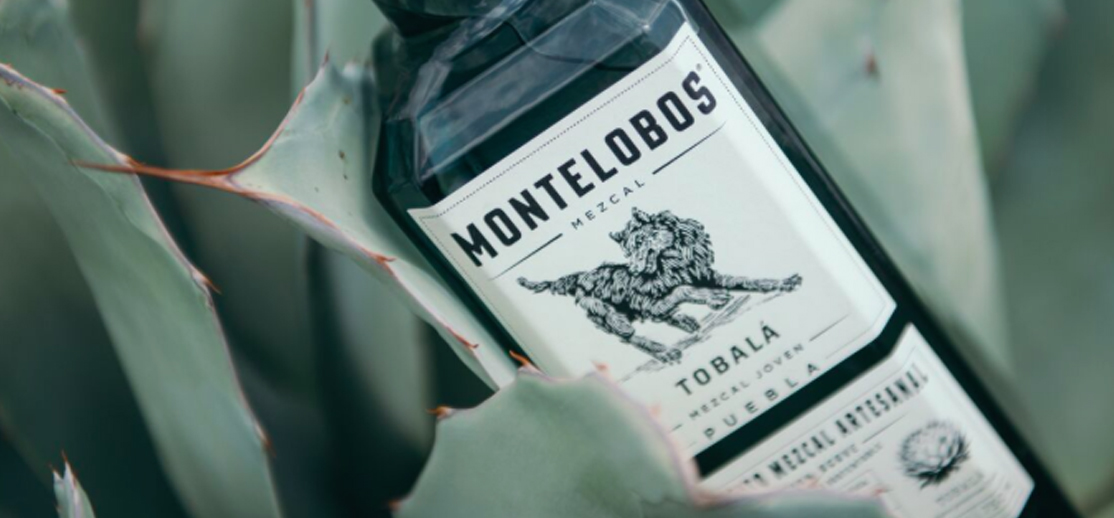 Montelobos: el mezcal de Oaxaca