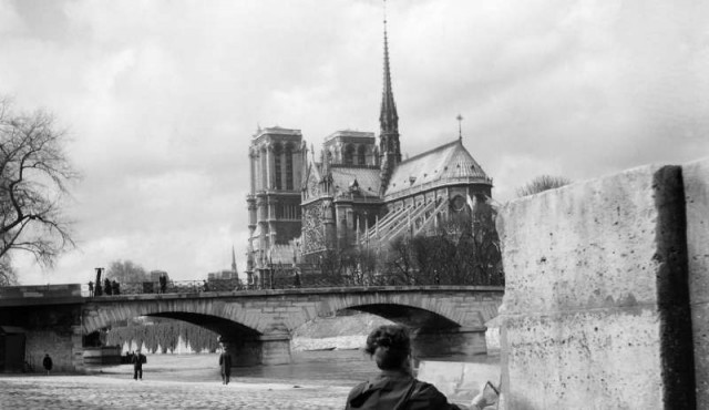 El rayalibros: Notre-Dame en llamas 0