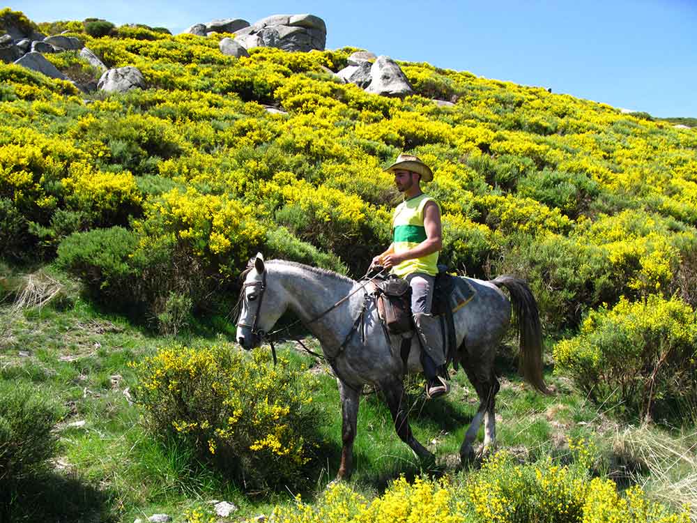 Gredos: el secreto que España guarda a dos horas de Madrid 3