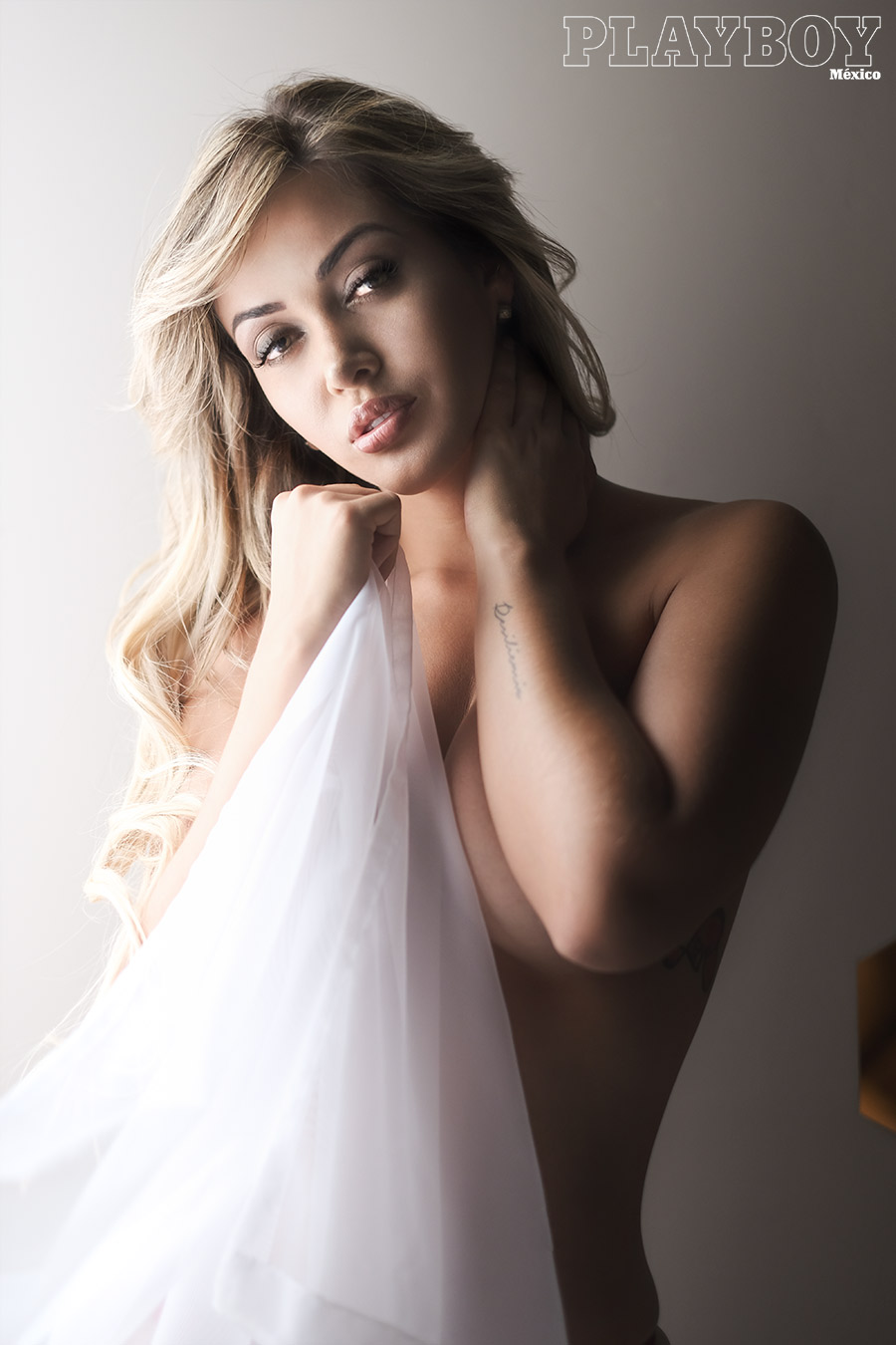 maria fernanda gomez desnuda