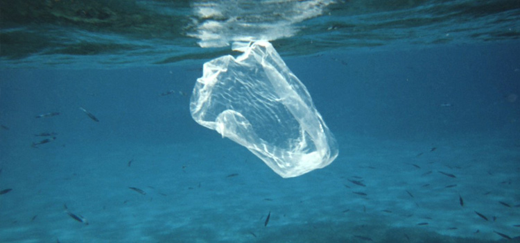 Redes Ocultas: prohibir las bolsas de plástico contamina más al planeta