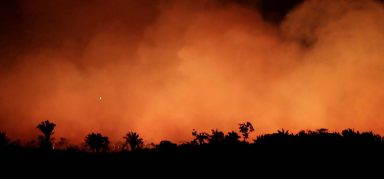 La responsabilidad de Bolsonaro en los incendios del Amazonas