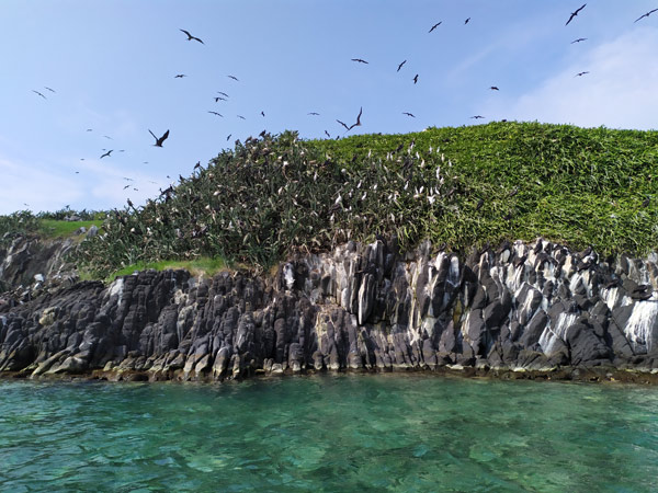 Veracruz-turismo-de-aventura-Roca-Partida-Isla-de-pájaros