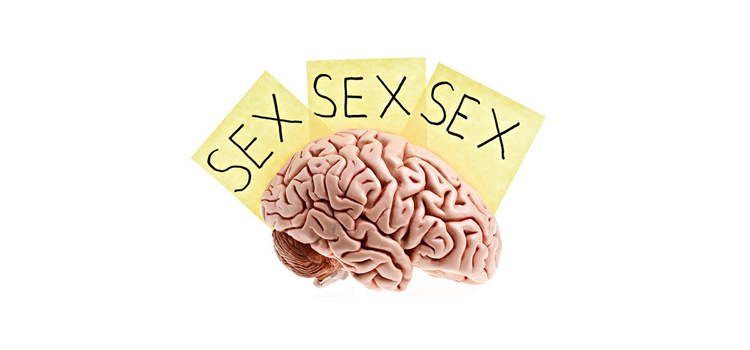 Descubre las zonas de tu cerebro que se activan durante el sexo y las apuestas