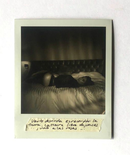 Foto: cortesía