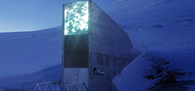 El Banco Mundial de Semillas de Svalbard: comida para el fin del mundo