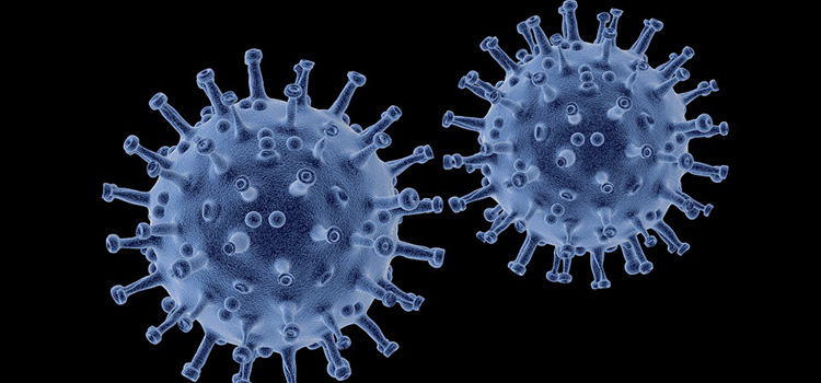 4 virus sin cura con los que aprendimos a convivir